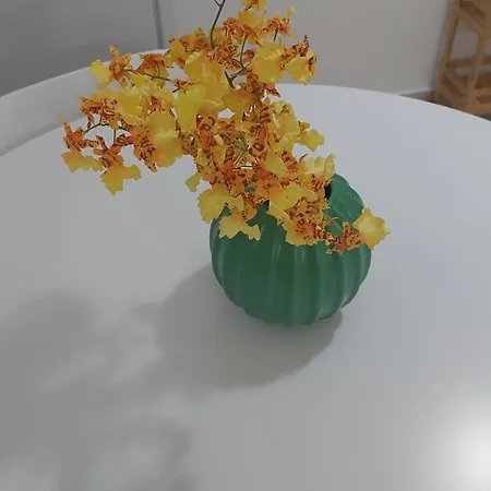 Maria's Comfort Apartment