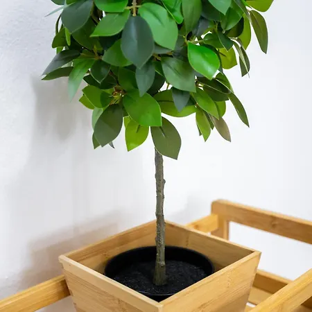 شقة Maria's Comfort ريثيمنو