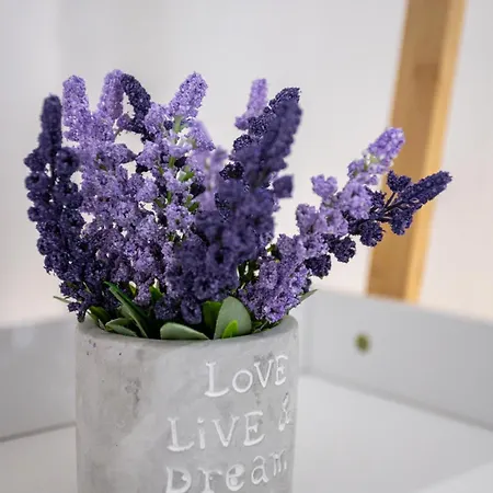 Apartment Maria's Comfort