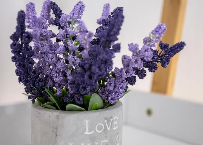 Maria's Comfort 300 Metre From The Sea Appartement Rethimnon