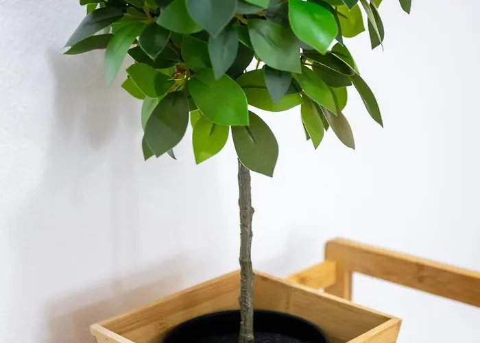 Appartement Maria's Comfort 300 Metre From The Sea Rethimnon