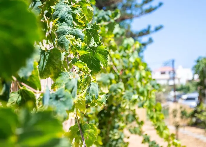 Апартаменты Maria's Comfort 300 Metre From The Sea *