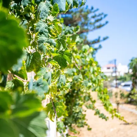 Apartament Maria's Comfort 300 Metre From The Sea *